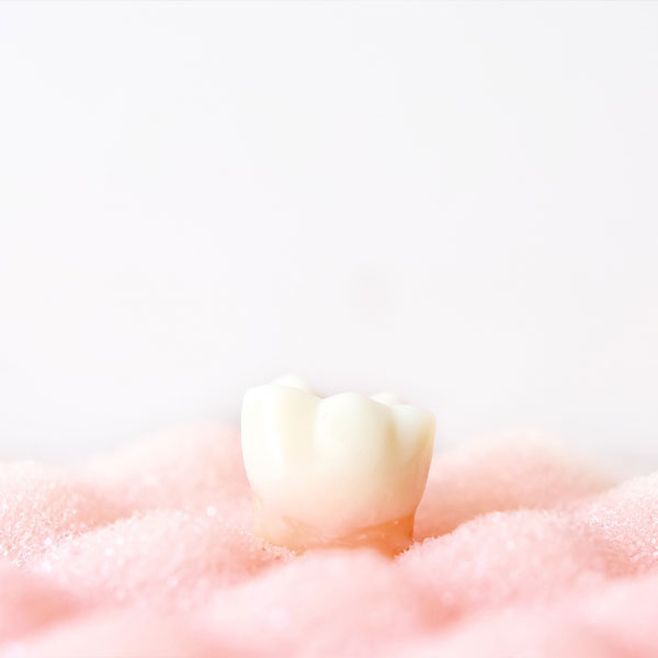日本の成人約80％が感染している歯周病